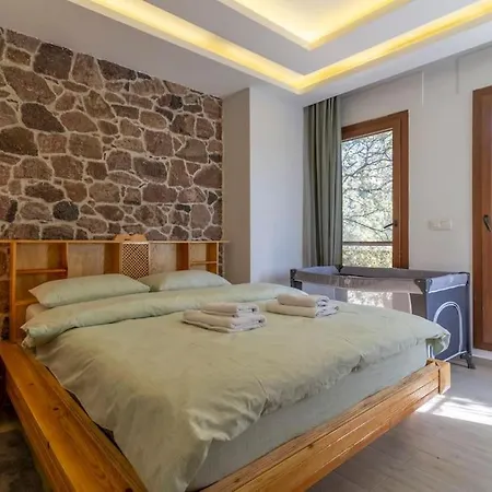 Luxurious With Pool And Great Garden וילה Yelki