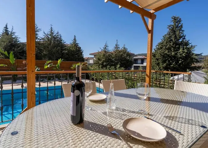 Luxurious With Pool And Great Garden Vila