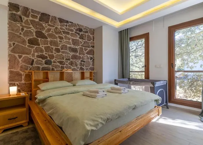 Luxurious With Pool And Great Garden Vila Yelki